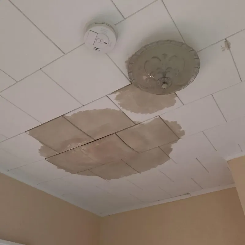 Ceiling Water Damage Repair in Hampton Manor, NY