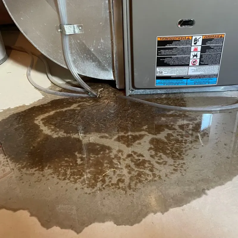 Pipe Burst and Leak Restoration in Hampton Manor, NY